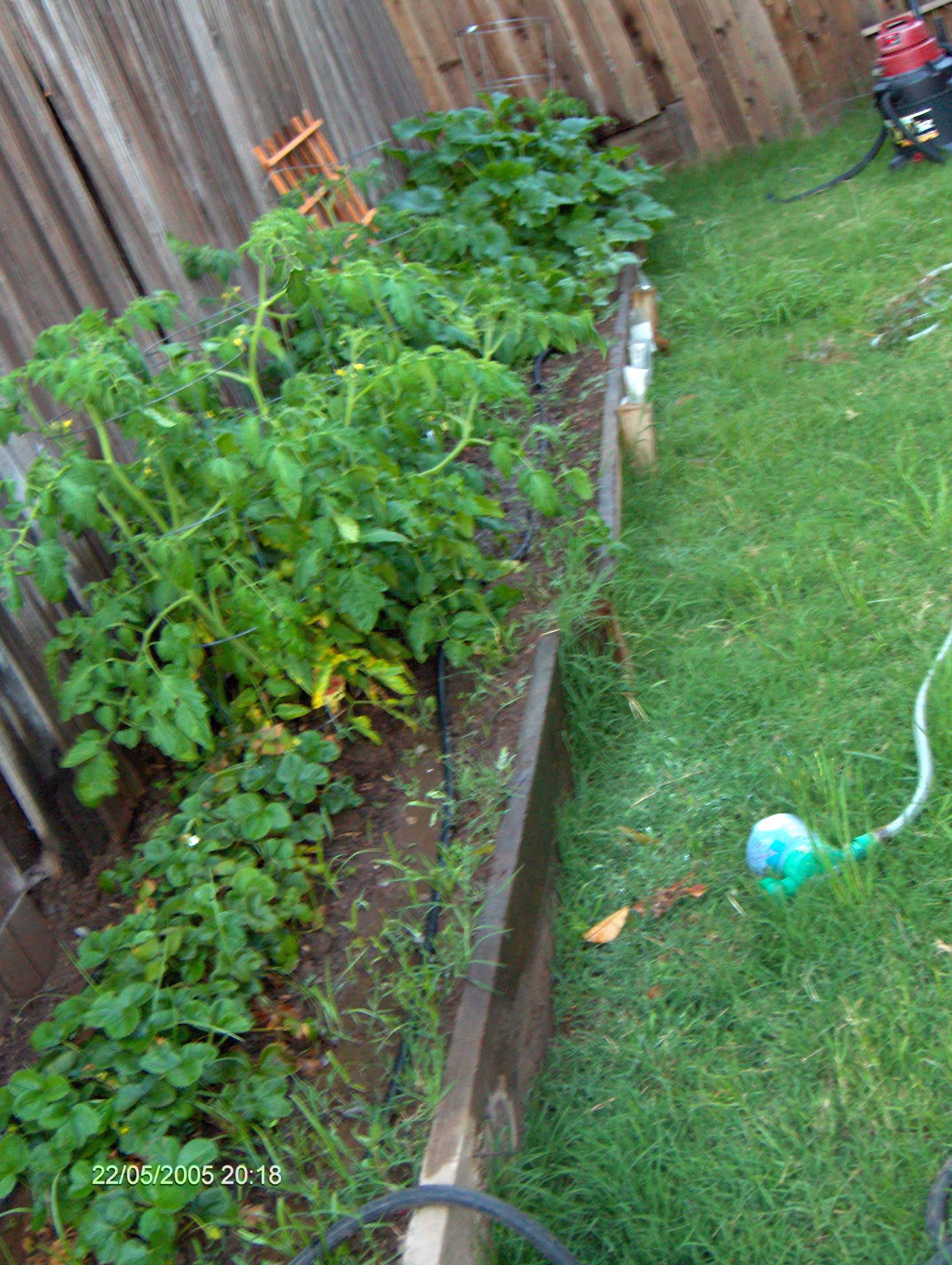 garden-A2-5-22-2005.jpg