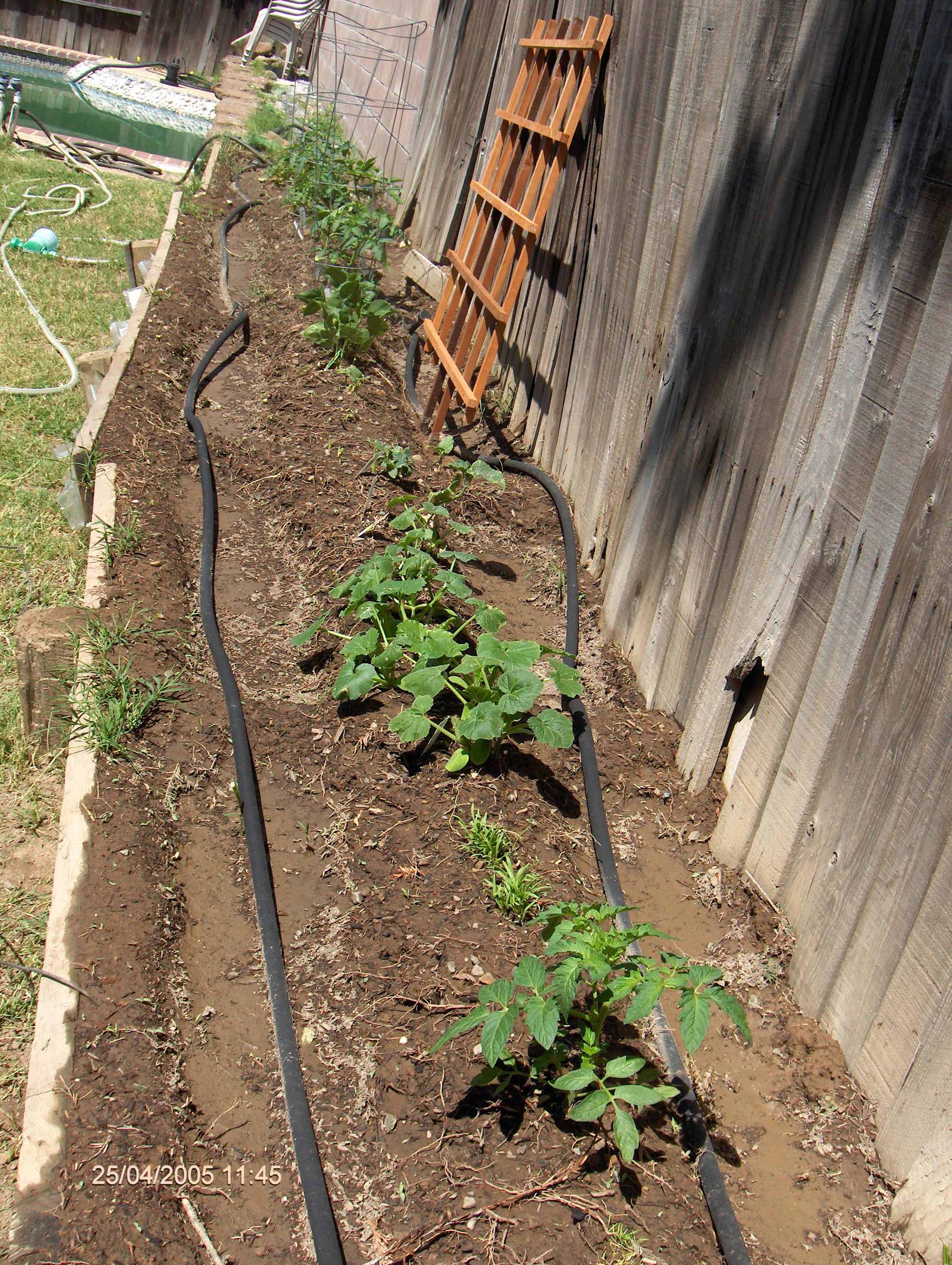 garden-B2-4-25-2005.jpg