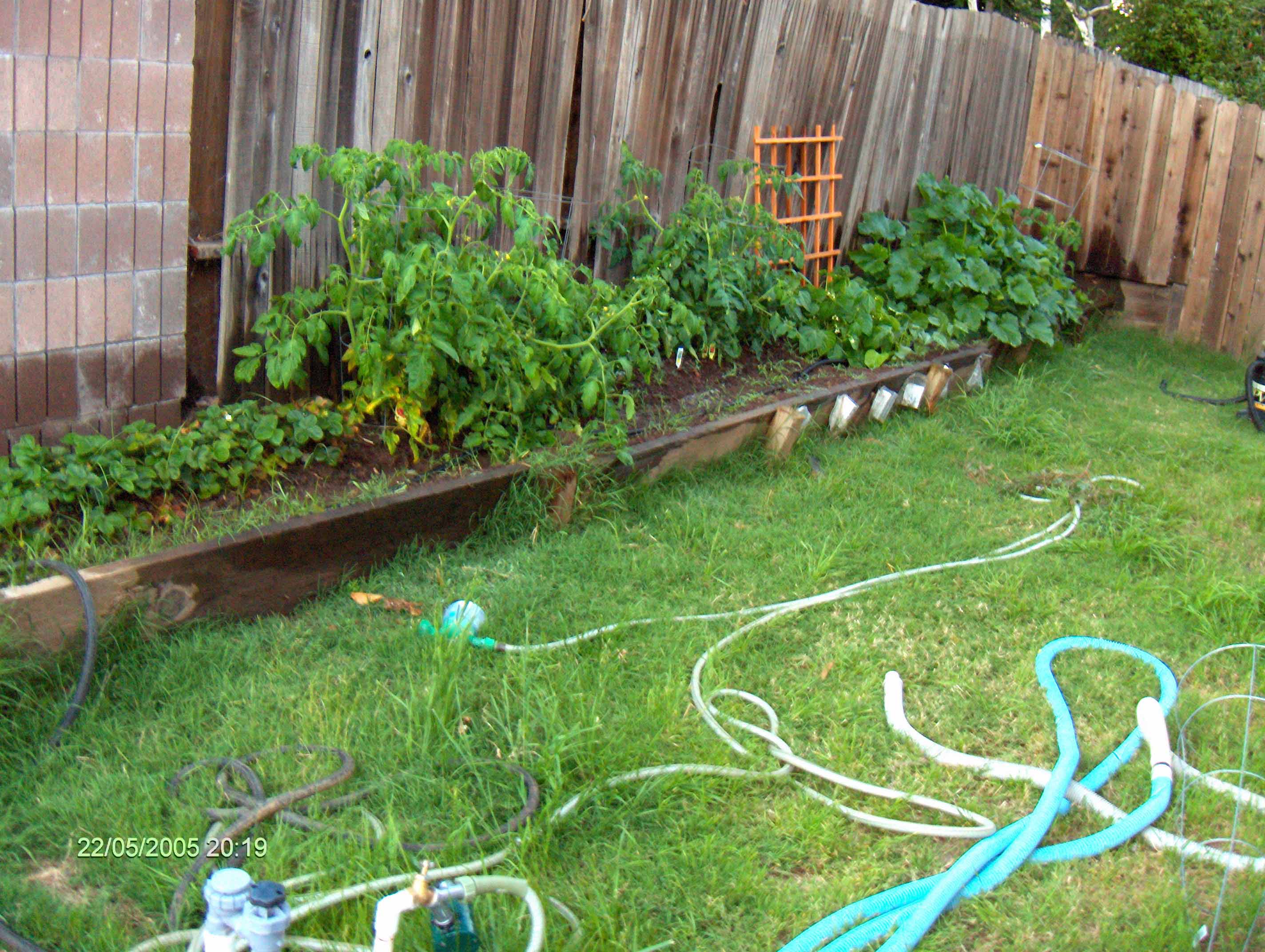 garden-B2-5-22-2005.jpg
